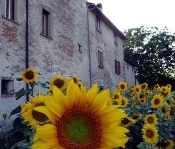 Villa La Casa Nova Sansepolcro Exterior foto